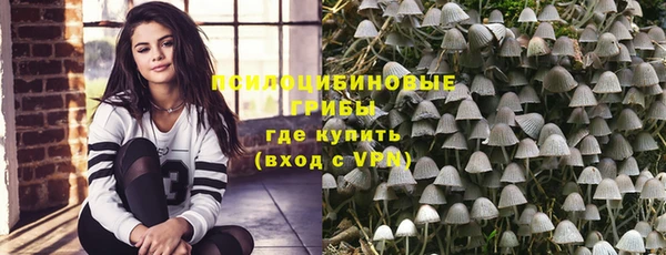 тгк Арсеньев