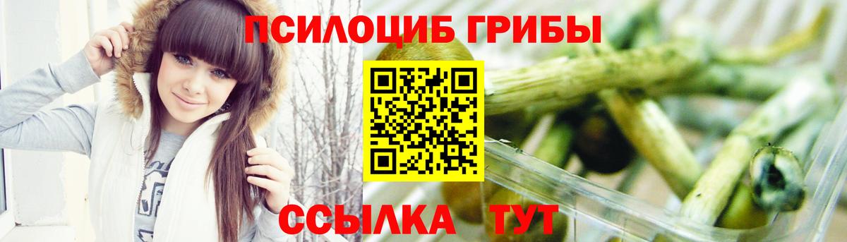 Галлюциногенные грибы мицелий  Вход с VPN  Волгодонск 
